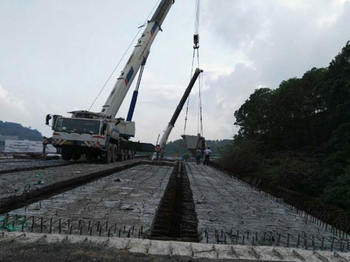 東莞鳳崗金龍路